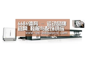 案例展示五
