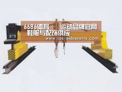 产品名称十七